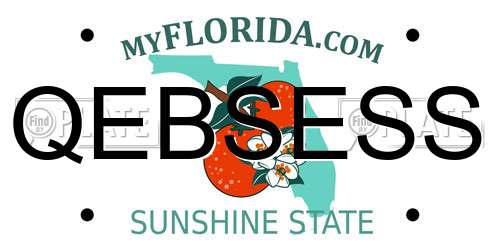 QEBSESS Florida License Plate