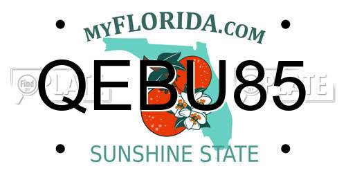 QEBU85 Florida License Plate