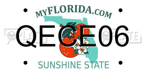 QECE06 Florida License Plate