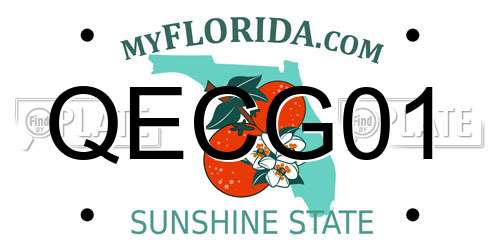QECG01 Florida License Plate
