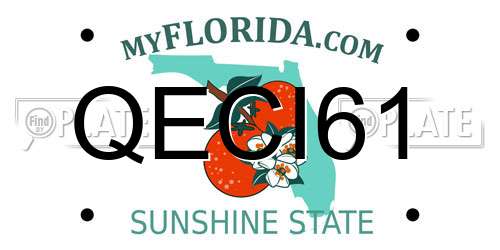 QECI61 Florida License Plate