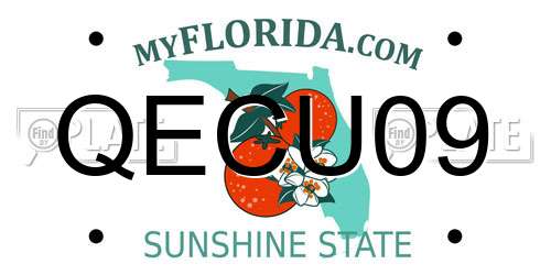 QECU09 Florida License Plate