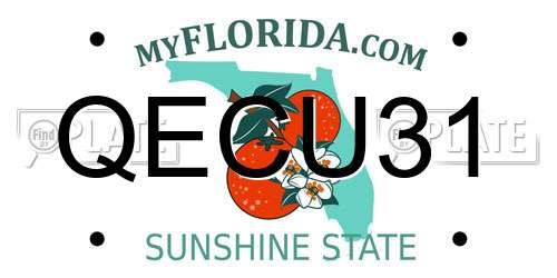 QECU31 Florida License Plate