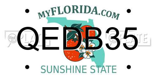 QEDB35 Florida License Plate