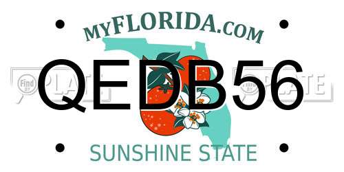 QEDB56 Florida License Plate