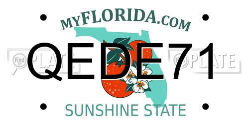 QEDE71 Florida License Plate