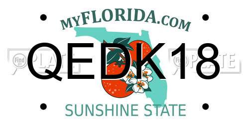 QEDK18 Florida License Plate