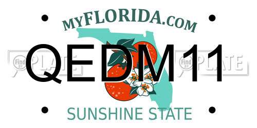 QEDM11 Florida License Plate