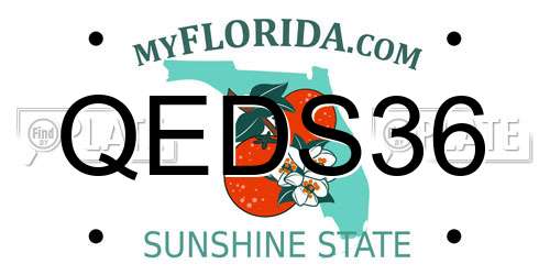 QEDS36 Florida License Plate