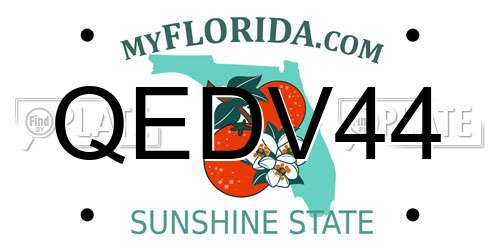 QEDV44 Florida License Plate