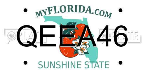QEEA46 Florida License Plate
