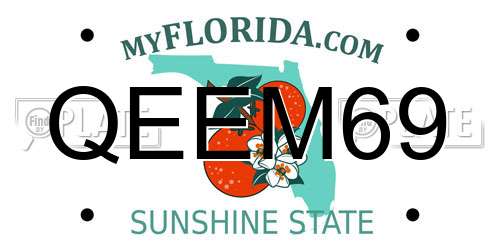 QEEM69 Florida License Plate