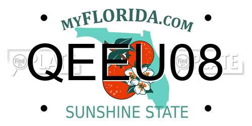 QEEU08 Florida License Plate
