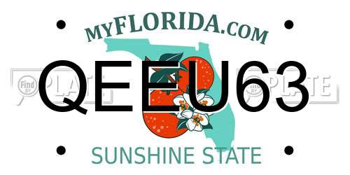 QEEU63 Florida License Plate
