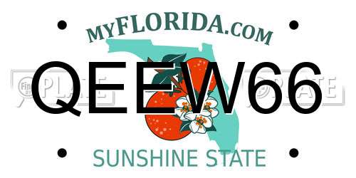 QEEW66 Florida License Plate