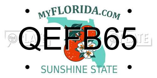 QEFB65 Florida License Plate