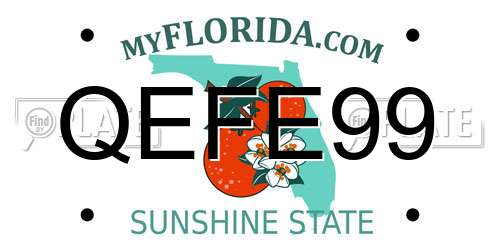 QEFE99 Florida License Plate