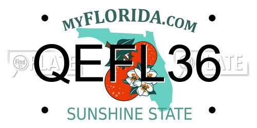 QEFL36 Florida License Plate