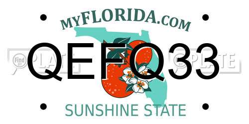 QEFQ33 Florida License Plate