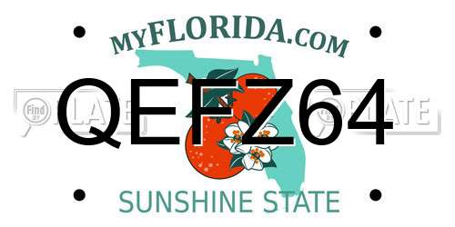 QEFZ64 Florida License Plate