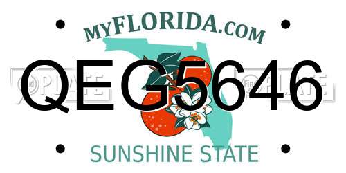 QEG5646 Florida License Plate