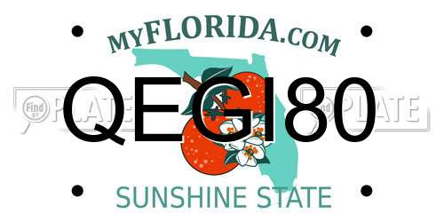 QEGI80 Florida License Plate