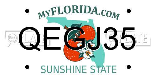 QEGJ35 Florida License Plate