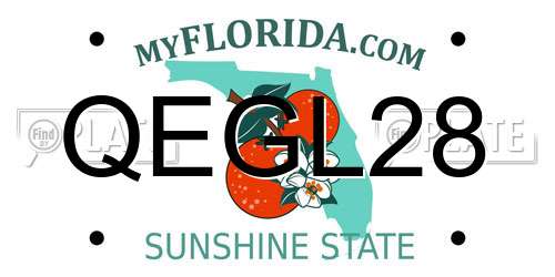 QEGL28 Florida License Plate