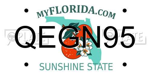 QEGN95 Florida License Plate