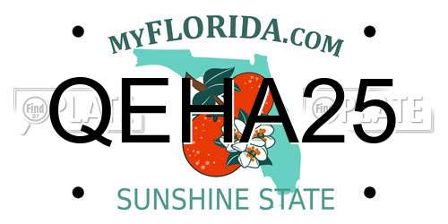 QEHA25 Florida License Plate