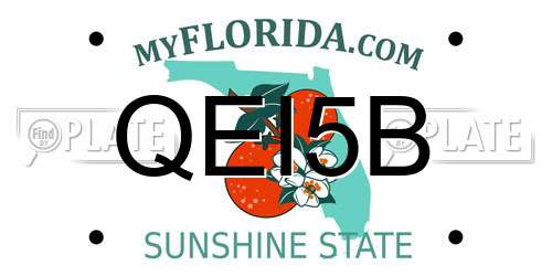 QEI5B Florida License Plate