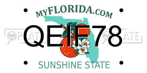 QEIF78 Florida License Plate
