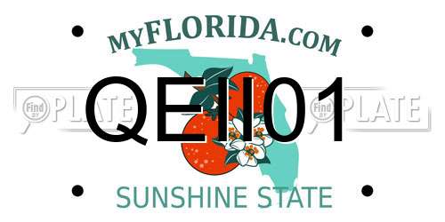 QEII01 Florida License Plate