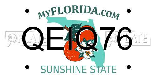QEIQ76 Florida License Plate