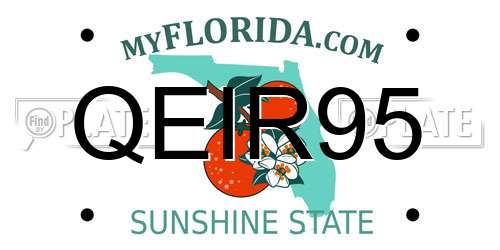 QEIR95 Florida License Plate