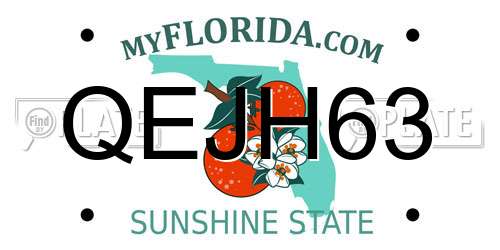 QEJH63 Florida License Plate