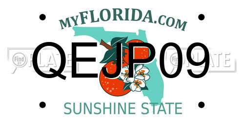 QEJP09 Florida License Plate