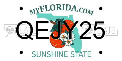 QEJY25 Florida License Plate