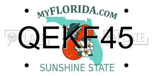 QEKF45 Florida License Plate