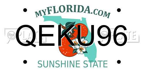 QEKU96 Florida License Plate