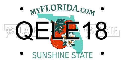 QELE18 Florida License Plate