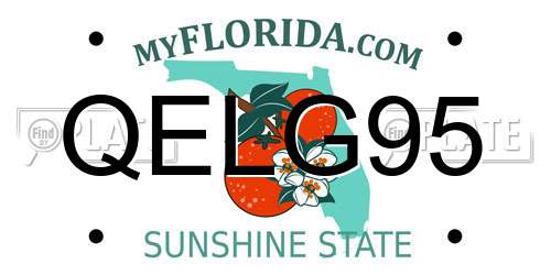 QELG95 Florida License Plate