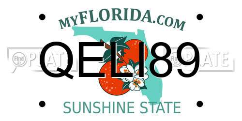 QELI89 Florida License Plate
