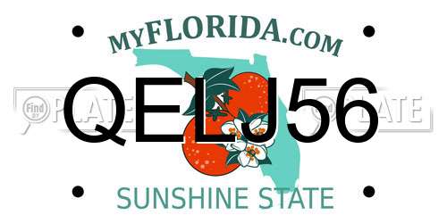 QELJ56 Florida License Plate