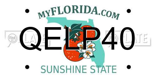 QELP40 Florida License Plate