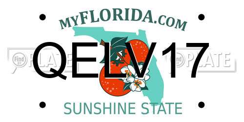 QELV17 Florida License Plate