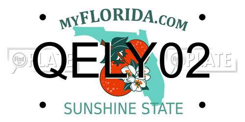QELY02 Florida License Plate