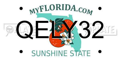 QELY32 Florida License Plate