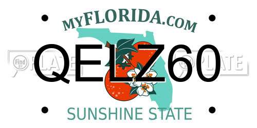 QELZ60 Florida License Plate