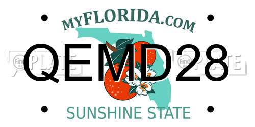 QEMD28 Florida License Plate
